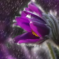 Background Trickles - Canciones de Cuna para Bebés Académico, Relajación Meditar Academie, Relajante & Relajante & Relajación Meditar Academie & Canciones de Cuna para Bebés Acadèmico