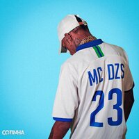 Plano Perfeito - MC DZS & Carl Jay