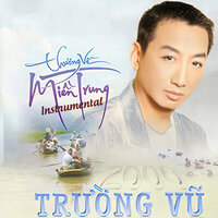 Đừng trách anh tội nghiệp - Trường Vũ