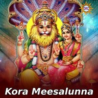 Kora Meesalunna - Shankar Babu
