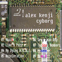 Typical Numbers - Alex Kenji