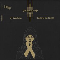 Follow Da Night - dj Wadada & Dmitry Atrideep