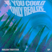 Euphoria (If She Left Me) - Nolan Trotter