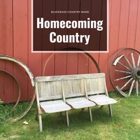 Ruin That for Me - Bluegrass Country Band