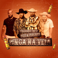 Pinga na Veia - Davi e Fernando & Pagando Mico