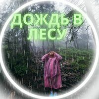Шум дождя - Музыка для дождливого дня на природе