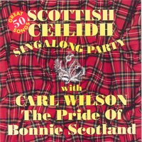 Auld Lang Syne - Carl Wilson