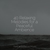 Meanderings - Spa Music Collective & Relaxation Sleep Meditation & Deep Sleep
