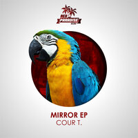 Mirror - Cour T.