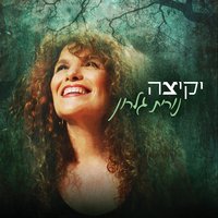 Kmo Shemevakshim - Nurit Galron