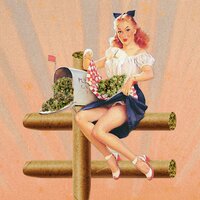 Productive Stoner - Netherfriends