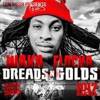 Can't Do Golds - Waka Flocka & Don Mega