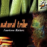 Chord Funk - Natural Tribe
