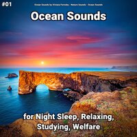 Ocean Sounds Part 19 - Ocean Sounds by Viviana Fernsby & Nature Sounds & Ocean Sounds