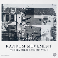 Modelo Fumunda - Random Movement