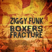 We Can Get Down - Ziggy Funk