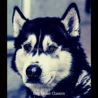 Entertaining Separation Anxiety - Dog Music Classics