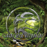 Trickle of Life - CHOREA MINOR