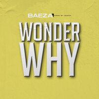 Wonder Why - Baeza