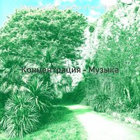 Атмосфера (Концентрация) - Музыка для учебы атмосфера