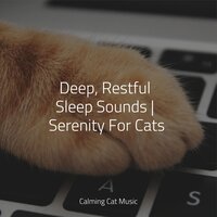 Sleep Well - Cat Music Therapy & Cats Music Zone & Cat Music