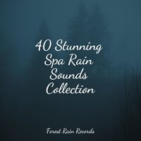 Rainy Night - The White Noise Zen & Meditation Sound Lab & Dr. Meditation & Natureza