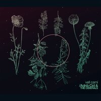 Noia de vidre - Adrià Cid & The Ciderals & Jacob & Denis Willcox & Kiko Vernet