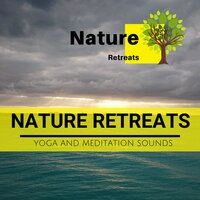 Blooming Flowers - Power Yoga Nature Sounds