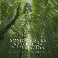 Música Líquido (Relajar la Mente) - Sonidos de la Naturaleza Star