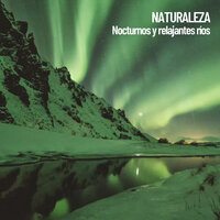 Salpicadura de gentiles rios - Nature Sounds XLE Library & Nature Sounds Nature Music & Sounds of Nature Noise