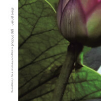 Gap Of Cloud/A Way Of Disappearing/Playground Martyrs - Steve Jansen & David Sylvian