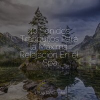 Creatividad - Meditação Yoga Maestro & Musica Para Dormir & Ruido Blanco Para Bebes