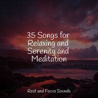 Embers - Powerthoughts Meditation Club & White Noise Sound Garden & Asian Zen: Spa Music Meditation