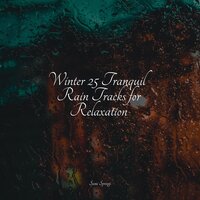 Birds in Twilight - Sounds Of Nature Relaxation & Kundalini: Yoga & Oceanic Yoga Pros