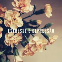 Perfeição - Ansiedade Tratamento