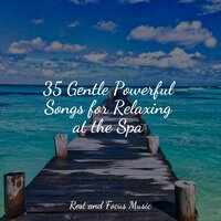 Meditation Basics - Classical Study Music & Entspannungsmusik Meer & Anxiety Relief
