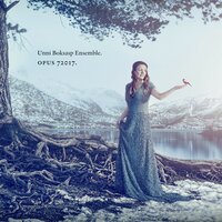 Brevet - Unni Boksasp Ensemble