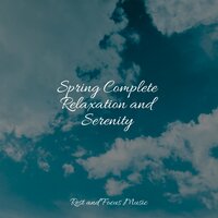 Tidal Rollings - Entspannungsmusik Oase & Meditação Yoga & Relaxation Sleep Meditation