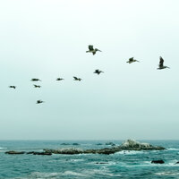Ages Away - Massage Music