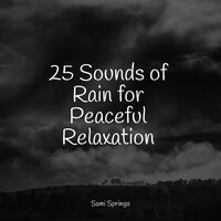 Ocean Waves and Seagulls Overhead - Classical Study Music & Relaxing Nature Sounds Collection & Calm shores