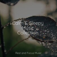 Ocean Fishing - Kinderlieder Megastars & Baby Sleep & Deep Sleep Music Experience