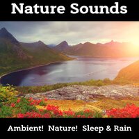 Dragon Dance, Canyon Sound - Nature! & Ambient! & Sleep & Rain