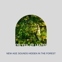In - Forest Sounds - Soul Serenade & SleepTherapy & The Dreaming Academy