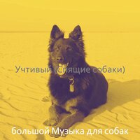 Атмосфера (Собаки Щенки) - большой Музыка для собак
