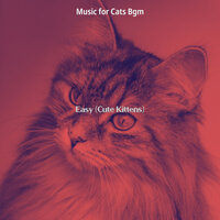 Playful (Cute Kittens) - Music for Cats Bgm