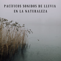 Amor Bajo La Lluvia - Tormenta Jamaicana & Lluvia PQ & Sonidos De Lluvia y Tormentas