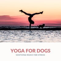 Asian Zen: Spa Music Meditation - Yoga Mandala