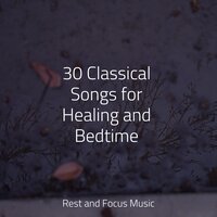 Detox the Body - Deep Sleep Music Academy & Asian Zen Spa Music Meditation & Sleep Songs 101