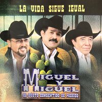 Que Bonito Es el Amor - Miguel Y Miguel