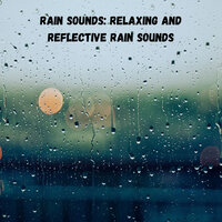 Rain Shower Morning - Outdoor Field Recorders & Rain Sounds & Sleep Music Guys